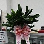 [하고싶은말] 큰아들 정우야