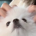 엥 이정현이랑 <b>유승언</b>