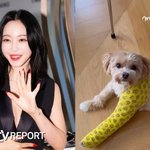 한예슬, 안타까운 소식…"마이 베이비, 낙상사고→통깁스 상태"...