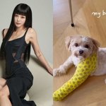 결혼 기념일 호텔링 대참사 후..통깁스 중인 "my <b>baby</b>"