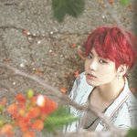 방탄 <b>Summer</b> Package 화보 정국