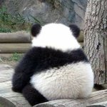 미워할수없는