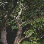 부산영화제에서 월드프리미어로 <b>상영</b>될 수 있을까? [전형화의 직필]