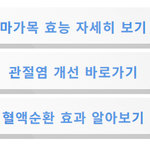 [<b>버스</b>시간] 마가목 효능 총정리