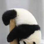 <b>괴팍</b> 뚱땡녀라니