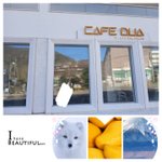 [결혼] 결혼=<b>평생</b> 따오기군단1이 생긴단거