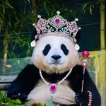 퀸 <b>오브</b> 퀸