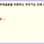 국제결혼속에 숨겨진 <b>음모</b> ...............