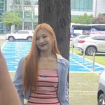 오늘자 조이박수영 <b>동물</b>농장 출근길