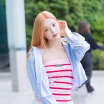 ‘설레게 만드는 쿨뷰티 비주얼’ (<b>동물</b>농장 출근길) [HD포토]