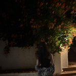 저녁, 바람과 함께한 순간”…신시아, 몽환적 <b>뒤태</b>→여름밤 감성 폭발