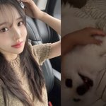 이솔이, 심장병원 다녀온 뒤 안타까운 일상 "아프지 <b>말기</b> 겨울이"