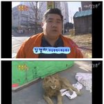 싱글벙글 광기 가득했던 2000년대 <b>초반</b>