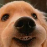 <b>어서</b>