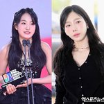 논란'에 고개 숙였다…장수군 "미숙한 대처+<b>혼선</b> 사과" [공식]