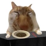이짤 <b>짜증</b>남