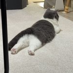 [성희롱] 하고 얼평하다가 돼<b>지바</b>문 대갈시경