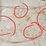 전자렌지 상식: 모를수도있다<b>vs</b>일반상식이다 (남편같이볼꺼)