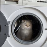 [도근도근] 설레는 <b>택배</b>상자