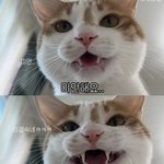[나지금] <b>진지</b>하다
