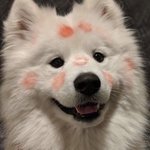 [오빠] <b>애정</b>결핍이야?