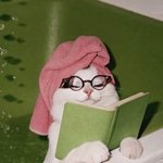 [<b>개운</b>타] 요쿠루투 한잔 쫍쫍