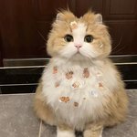 [이<b>양반들</b>아] 어지간히 부치라 마 ~!