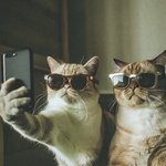 [악플러] 돈땡기는거 ㅈㄴ <b>짜릿</b>해