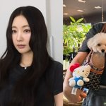 김사랑, G사 명품백을 반려견 이동가방으로‥흘러넘치는 <b>부내</b>