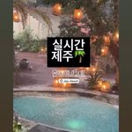 폭우에 이동건 제주 카페도 <b>물바다</b>