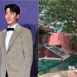 '강해림과 열애설' 이동건 제주 카페, 간신히 물바다 면했다…폭우...