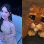 박보영, '고양이 눈망울'에 시선 뗄 수 없어...최강 동안이잖아...