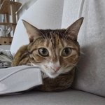 안녕하세요 오늘 <b>가입</b>했어요 !!!!  ㅎㅎ