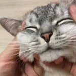 그때