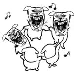 [드루와] 나 몸에 <b>솜털</b> 같은거 개많은데