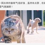 눈꼽떼고