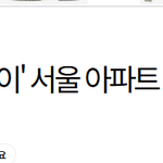 "서울 아파트 사재기 시작한 중국인"