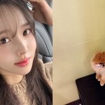 암 이겨낸 이솔이, 이번엔 '심장병' 반려견 걱정…"병원은 너무...