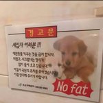 뚱뚱한 세입자는 받지않는다는 건<b>물주</b>