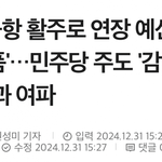 <b>무안</b>공항 참사 원인은 민주당 때문