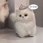 [하고싶은말] <b>퓨</b>