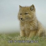 [댓글부탁해] 가족이 1순위였다가 제가 1순위로 변한게 이기적인걸까요