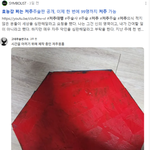 진짜 이거 실화인가요? 무서워서 손이 떨려요...