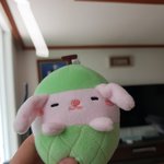 제가 <b>애착</b>하던 멜론토끼인형 삽니다!적극적으로 연락주세요