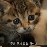 <b>뉴비</b> 돌덕질 입문(ing) 후기