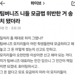 <b>팀버니즈</b> 근황