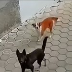 [댓글부탁해] 나 남잔데 솔직하게 내 얘기할게