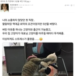 최악의 첫 직장에서 5년을 버틴 이유