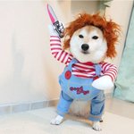 [혼자하는말] 관리자