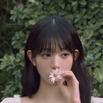 장원영 욕하거나 억까하는거 진짜 이해가 안가..